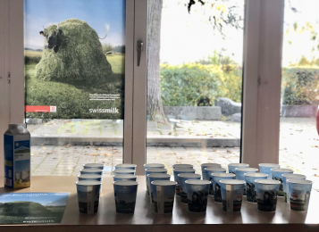 Archiv vergangener Aktivitäten